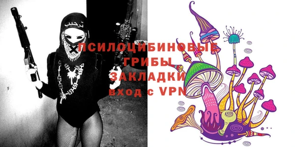 дурь Нефтегорск
