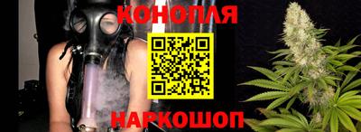 шишки Волгодонск