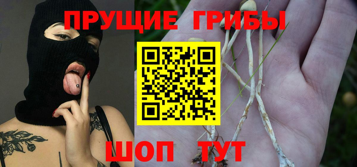 Лянтор  Псилоцибиновые грибы Cubensis  Вход с VPN  Галлюциногенные грибы мухоморы 